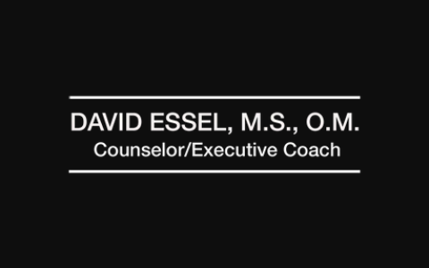 David Essel Enterprises Inc logo