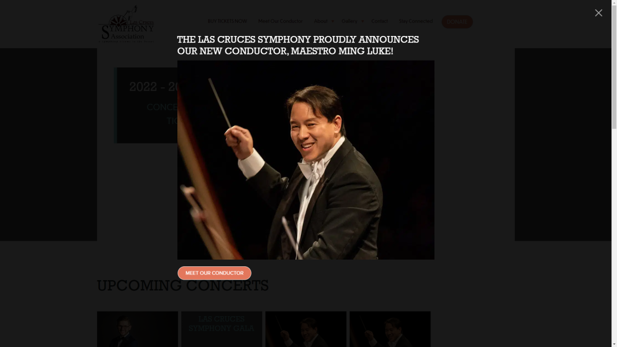symphony orchestra website