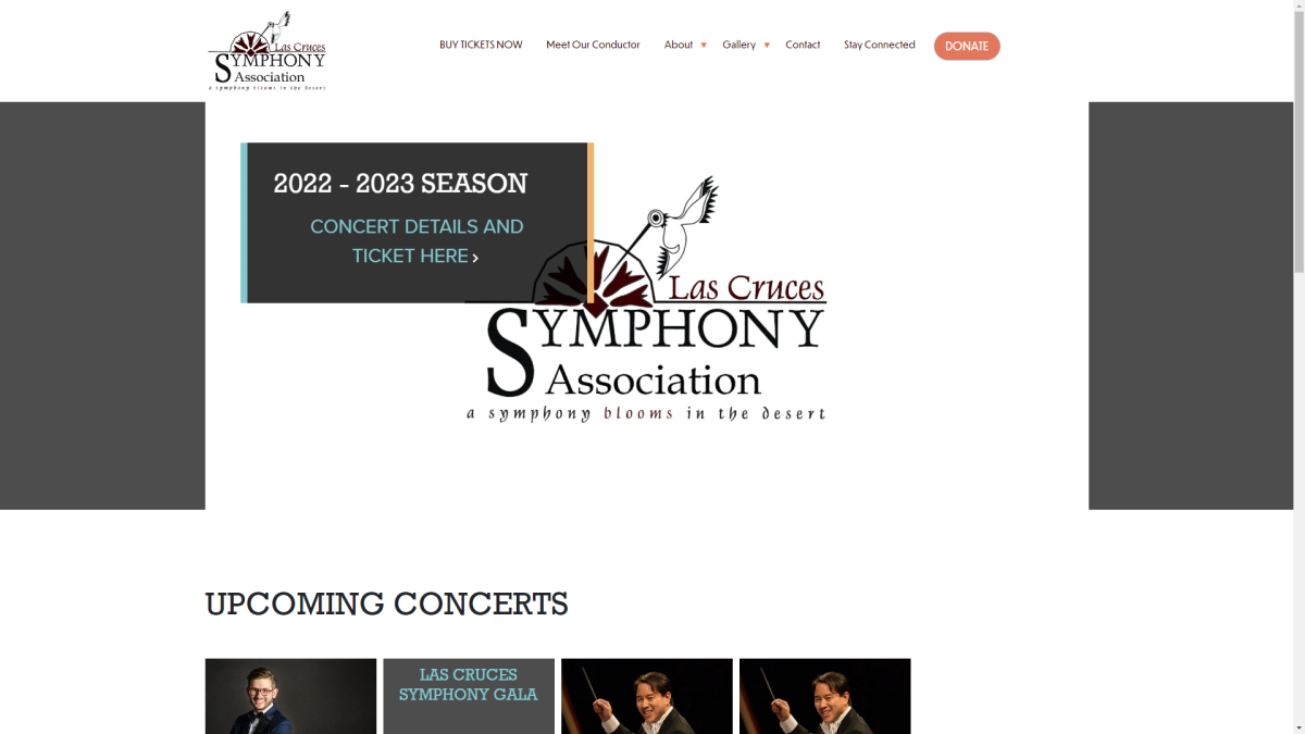 symphony orchestra website