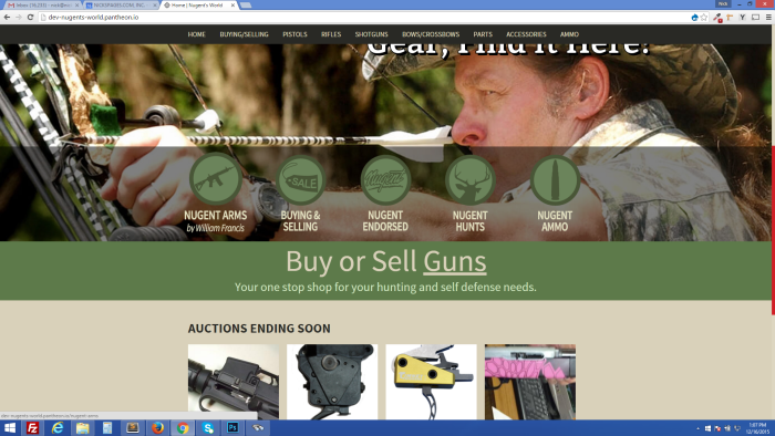 gun auction website