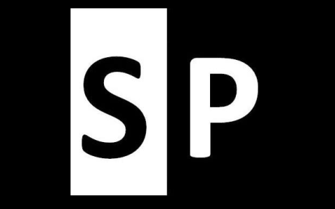 SalonPLEX logo